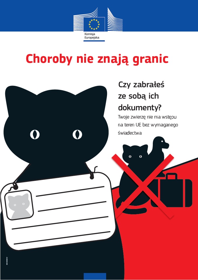 Plakat Choroby nie znają granic.
