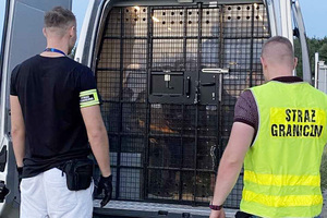 Mężczyźni siedzą w więźniarce. Przed drzwiami samochodu stoją funkcjonariusze SG. Mężczyźni siedzą w więźniarce. Przed drzwiami samochodu stoją funkcjonariusze SG.