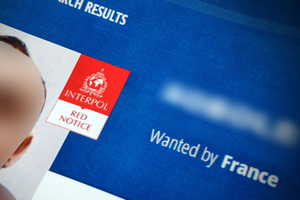 Strona internetowa Interpol. Strona internetowa Interpol.