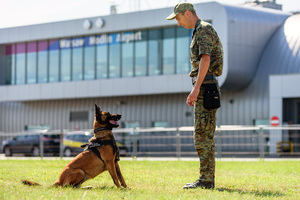 Przewodnik i pies służbowy patrzą na siebie. W tle terminal lotniska Warszawa-Modlin. Przewodnik i pies służbowy patrzą na siebie. W tle terminal lotniska Warszawa-Modlin.