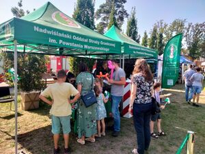 Uczestnicy pikniku stoją przy namiotach NwOSG. Uczestnicy pikniku stoją przy namiotach NwOSG.