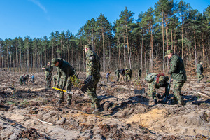 Obchody Dnia Ziemi. Obchody Dnia Ziemi.