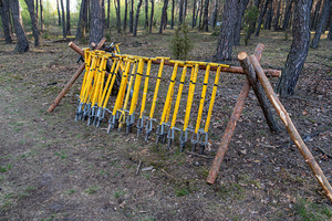 Obchody Dnia Ziemi. Obchody Dnia Ziemi.