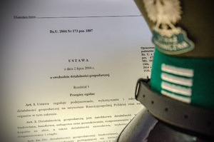 2015/01/ustawa_sdg.jpg 